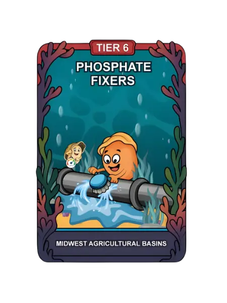 Phosphate PEARL